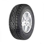 bridgestone