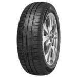 PNEU 175/65R15 84H MINERVA F209 (3)
